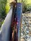 Purple/Blue/Orange Holographic Star Patent Vinyl (faux leather)